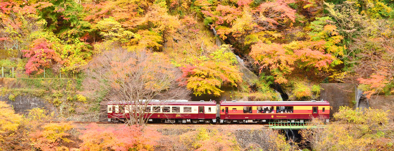 秋のわたらせ渓谷鐵道