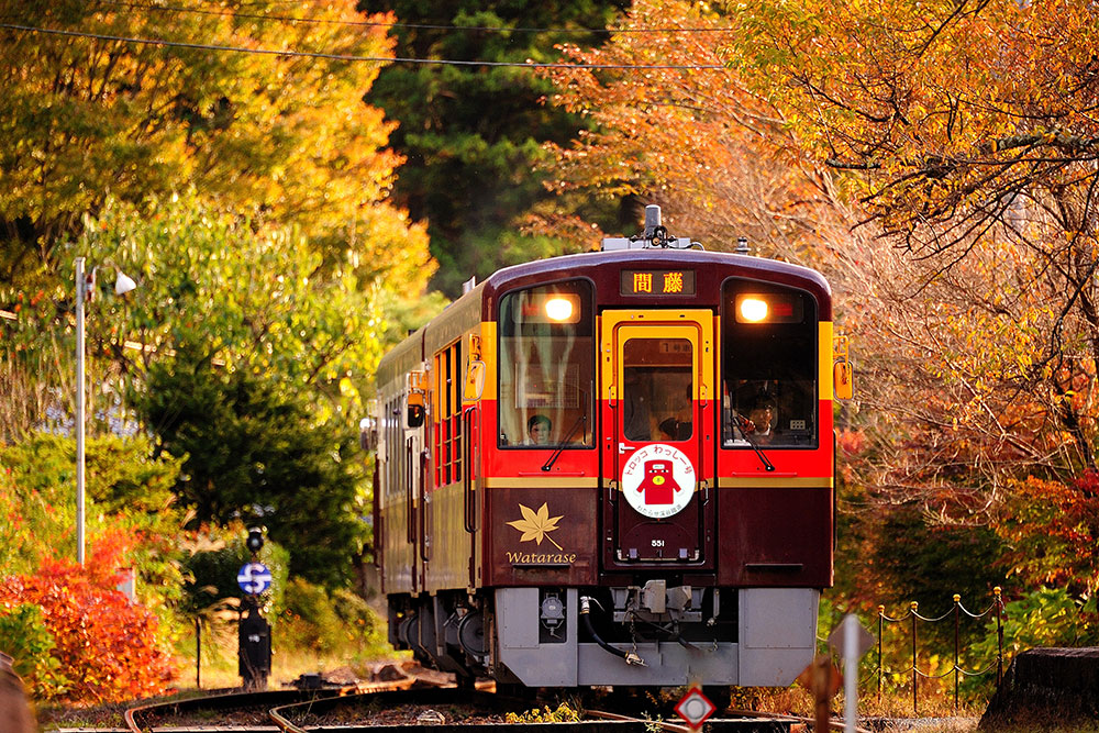 秋のわたらせ渓谷鐵道