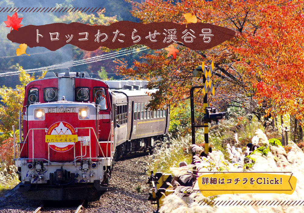ȥå錄餻ë