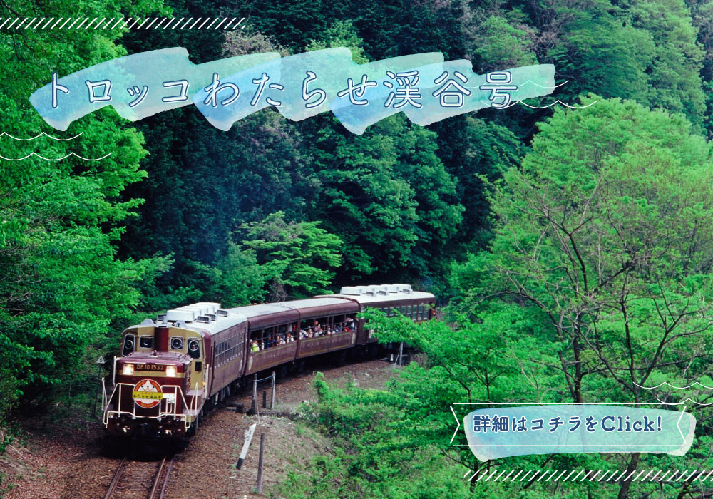 わたらせ渓谷鐵道株式会社 公式サイト Watarase Keikoku Railway Co Ltd